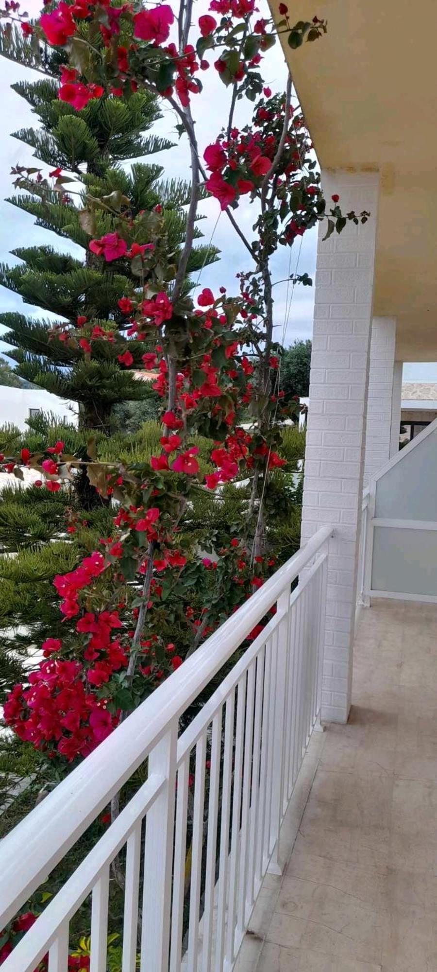 Angelos Apartment'S 아릴라스 외부 사진
